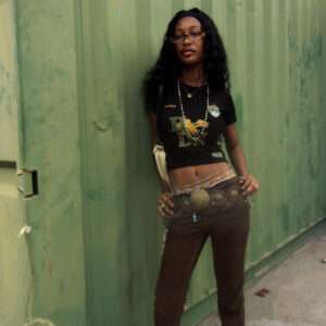 HDN Cheerleader Crop Tee